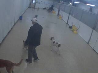 Dog Kennel