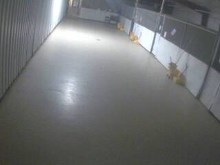 Dog Kennel