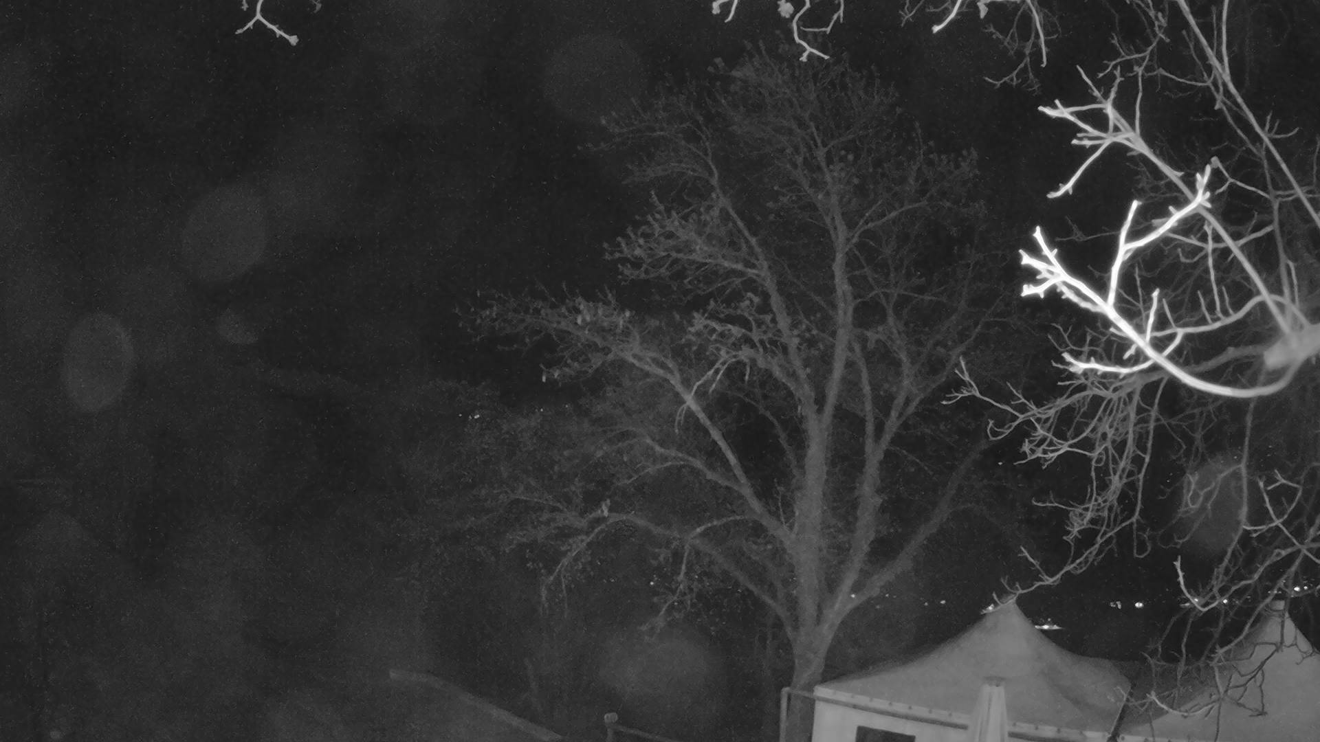 Webcam in Sion,Switzerland