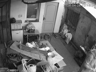 Security webcam