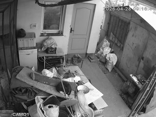 Security webcam
