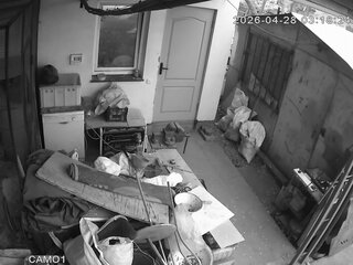 Security webcam