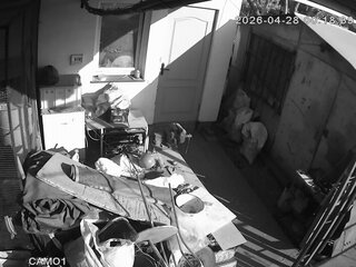 Security webcam