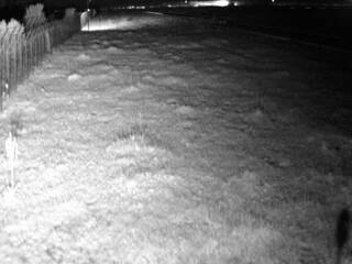 Webcam in Piandimeleto,Italy