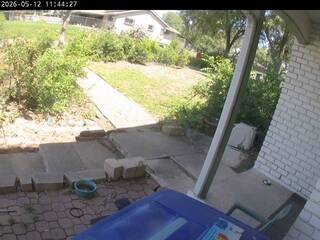 back yard