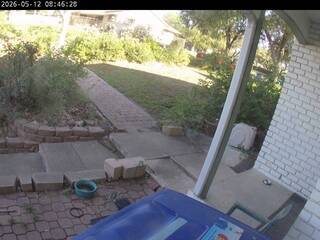 back yard
