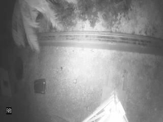 Security webcam