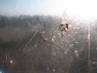 Security webcam