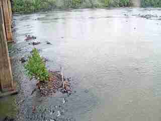 River