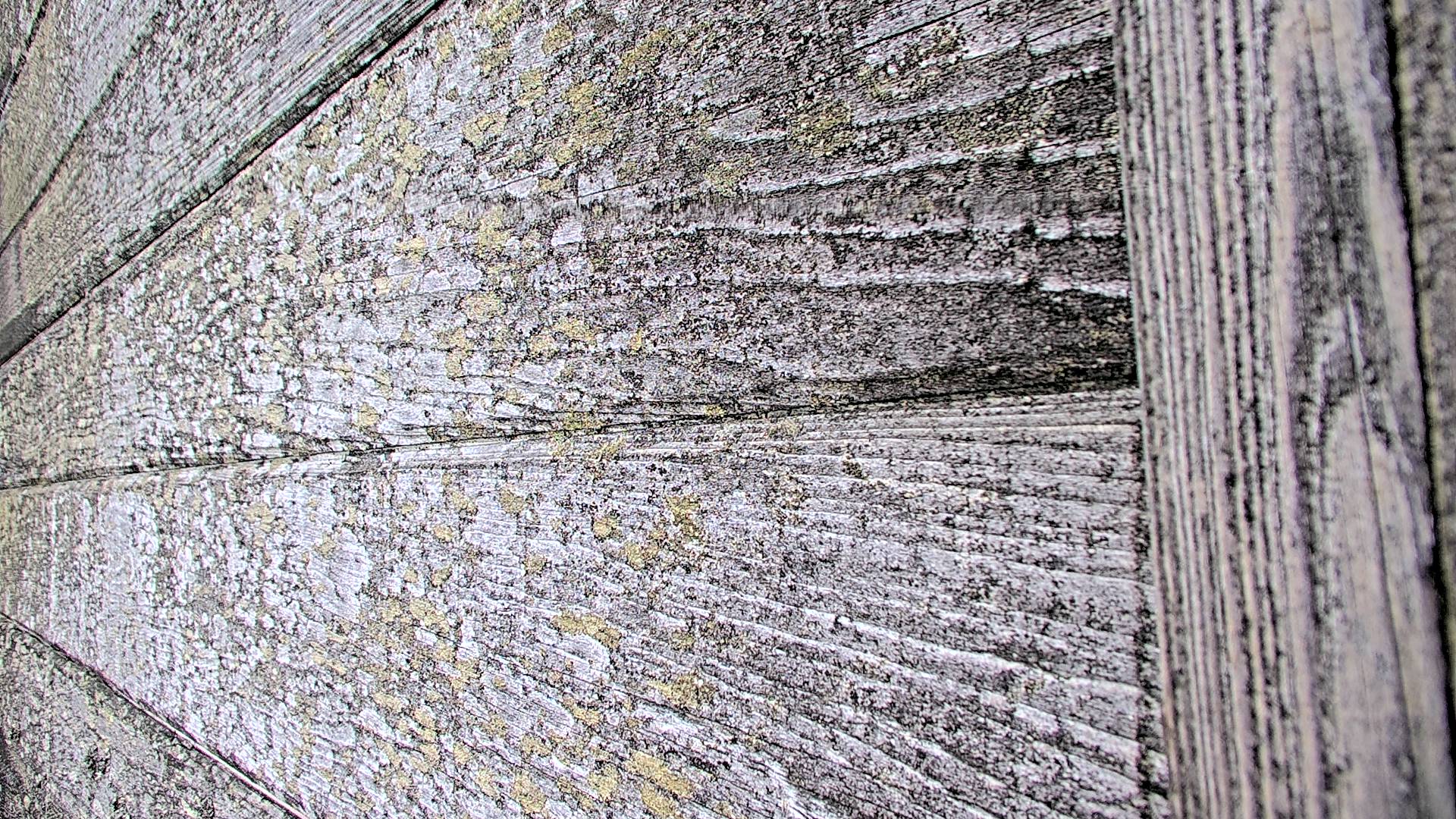 Webcam in Hayesville,United States