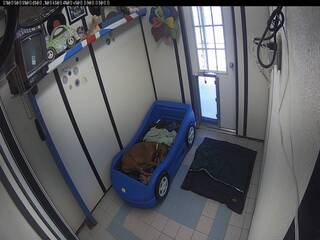 Woodland West Pet Resort - Dog Suite