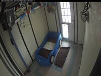 Woodland West Pet Resort - Dog Suite