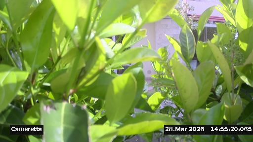 Webcam in Torrenova,Italy