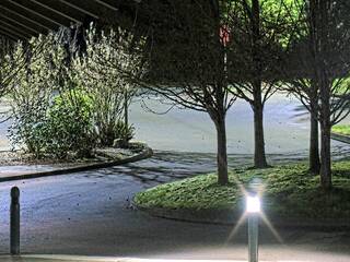 Webcam in Shelton,United States