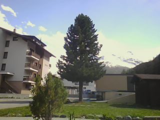 Apartment Building