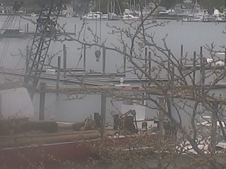 Harbor