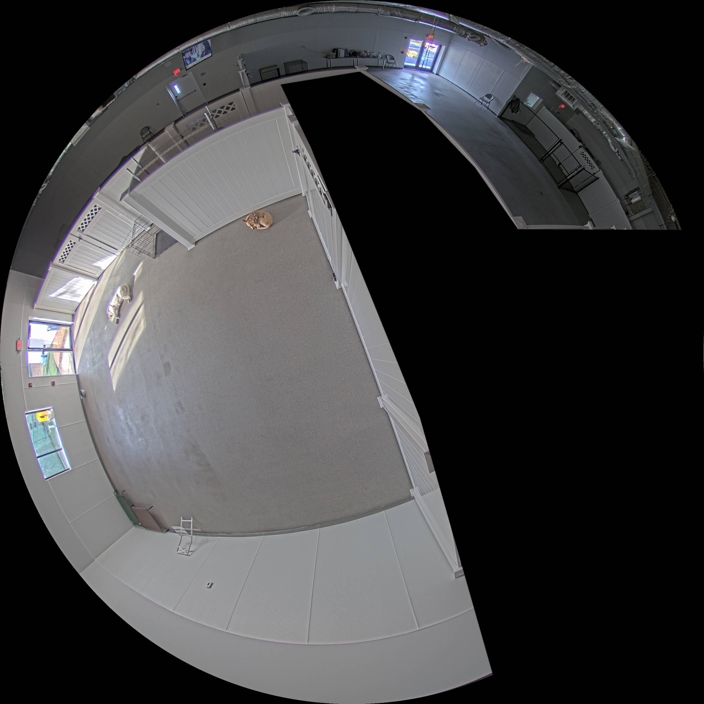 Webcam in United States