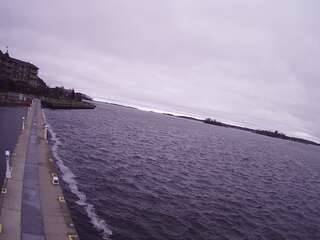 Black River view