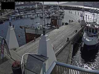 Webcam in Borgen,Norway