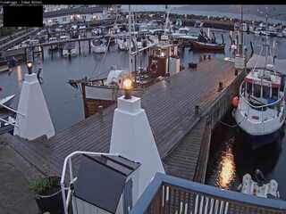 Harbor