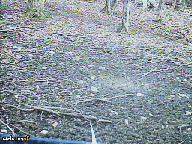 Webcam in Kenton,United States