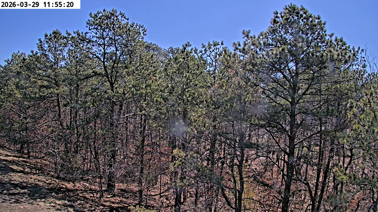 Webcam in United States