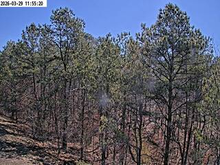 Webcam in United States