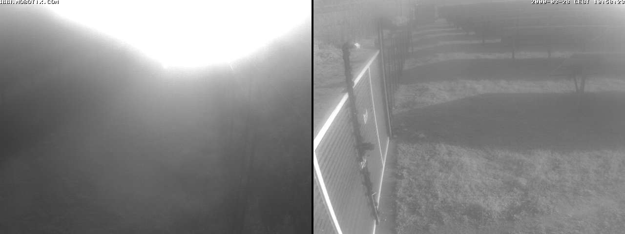 Webcam in Trani,Italy