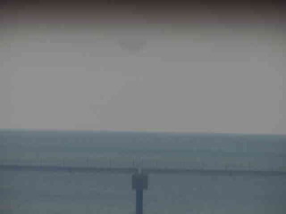 Walking Bridges/Piers