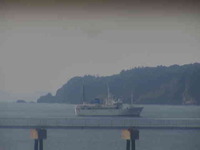 Walking Bridges/Piers