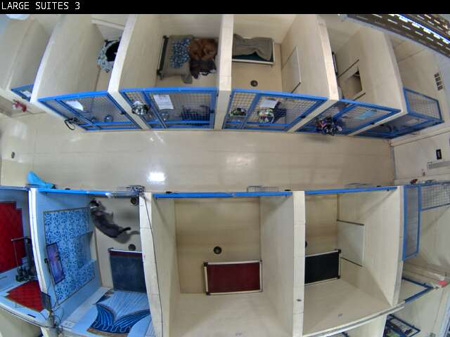 Webcam in New Boston,United States