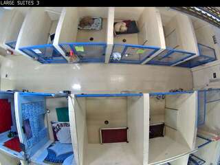 Dog Kennel