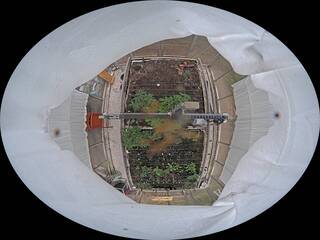 Greenhouse Garden