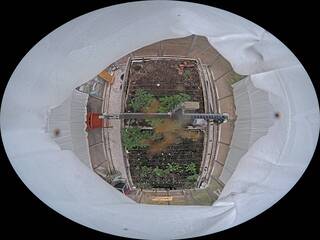 Greenhouse Garden