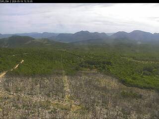 Mountain View--roving webcam