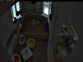 Cat House