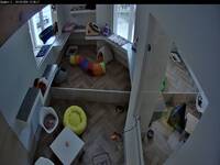 Cat House