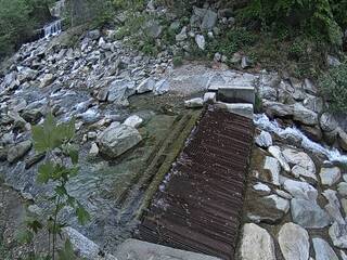 Water Falls