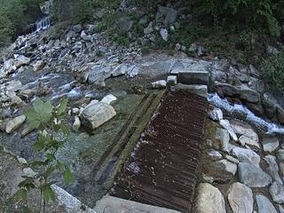 Water Falls