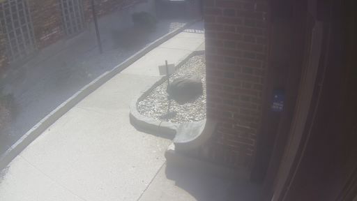 Webcam in Chicago,United States