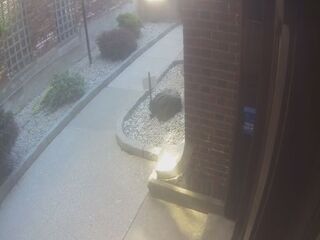 Sidewalk