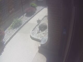 Sidewalk