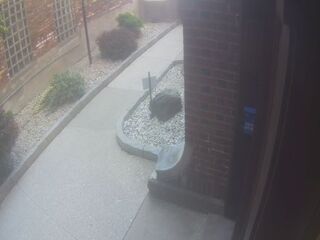 Sidewalk