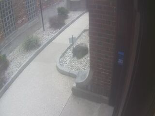 Webcam in Chicago,United States