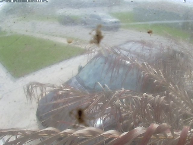 Webcam in United States