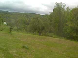 Woods