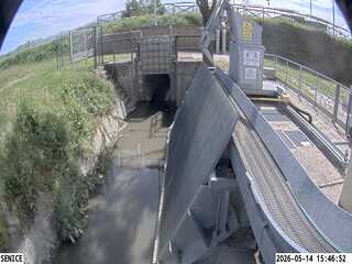 Water Management