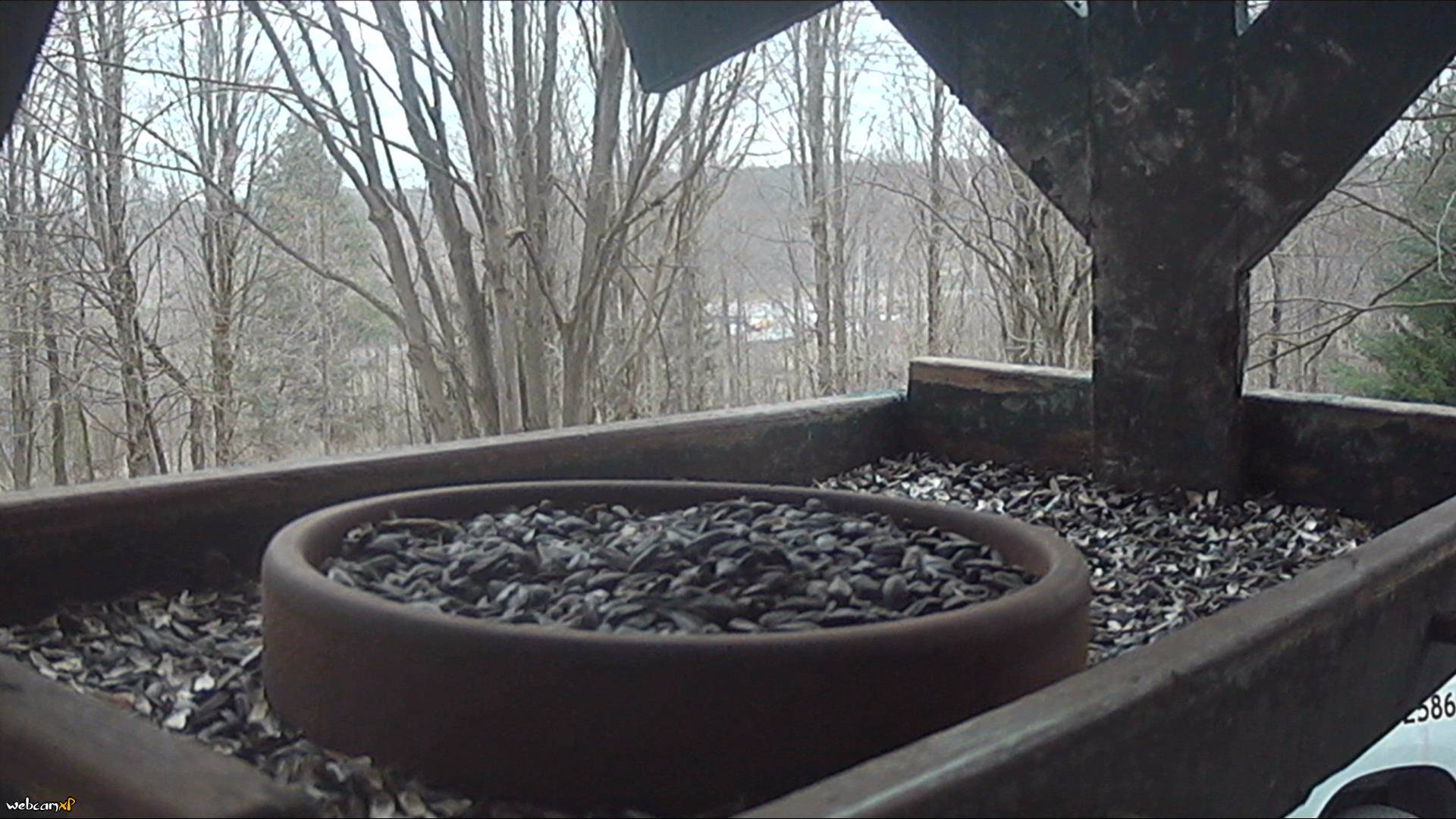 Webcam in Kenton,United States