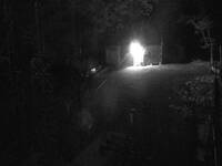 Electric Sub-Station