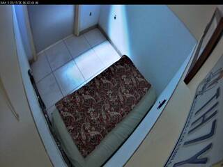Dog Kennel